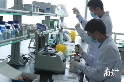 千年商都的現代回響 廣州為何能永葆商業活力？